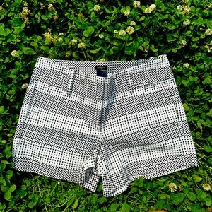 EUC - Ann Taylor Signature Shorts - Black & White - Size 8